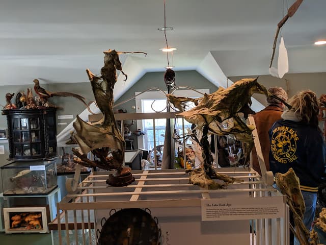 The Zymoglyphic Museum