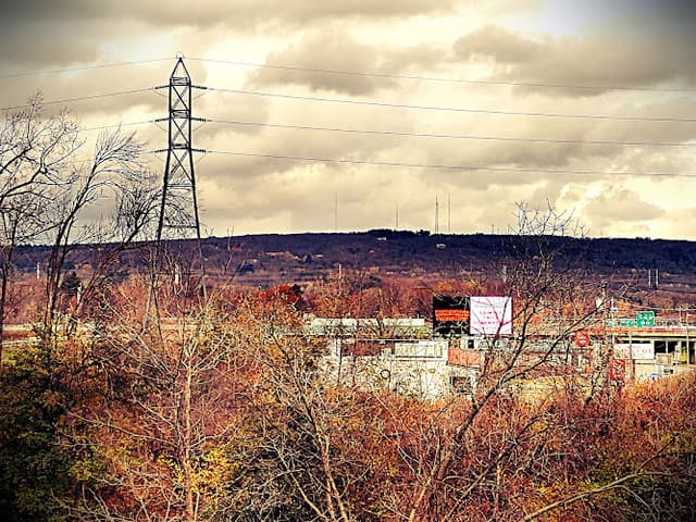 Utica Marsh Wildlife Management Area