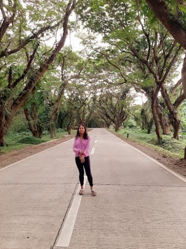 Acacia Tunnel