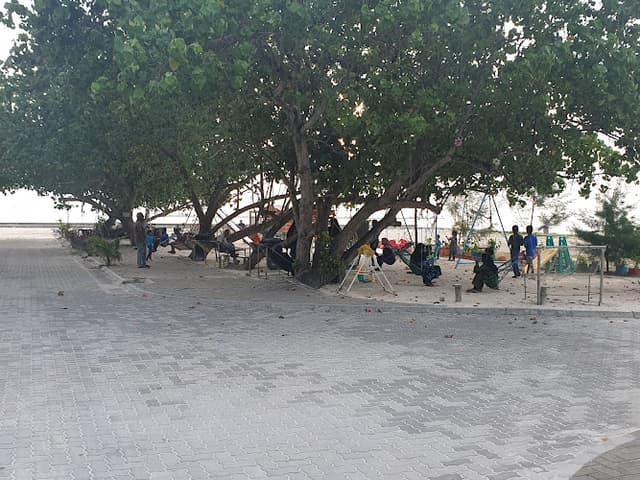 Kudha park