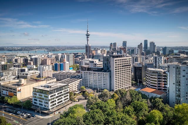 Cordis, Auckland