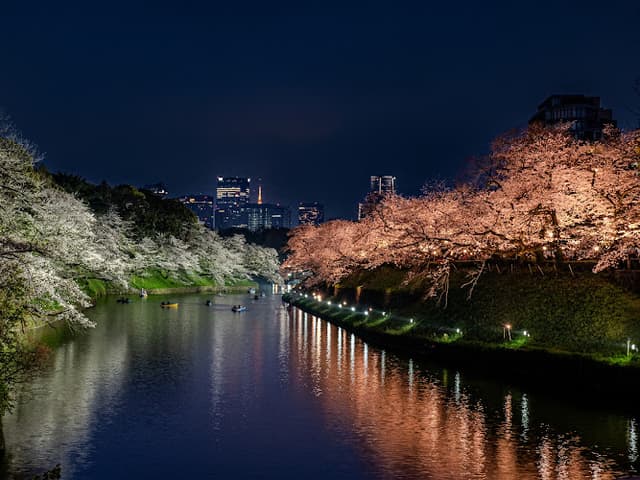 Chidorigafuchi Moat