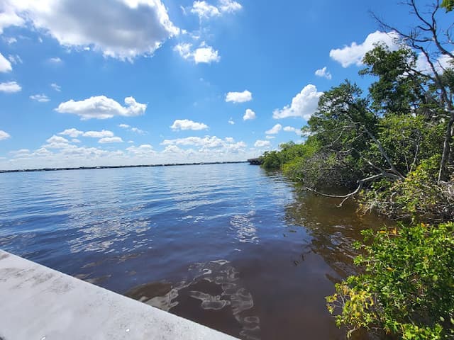 Four Mile Cove Ecological Preserve