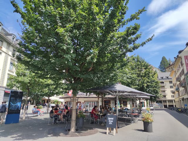 Bourbaki Panorama Lucerne