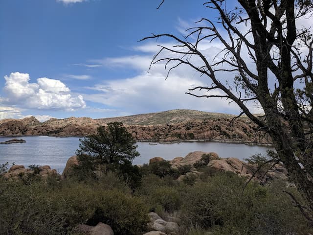 Watson Woods Riparian Preserve