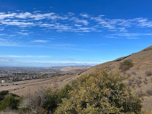 Mission Peak Regional Preserve