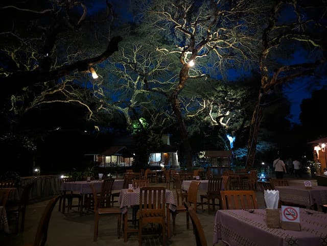 Acacia Shade Restaurant