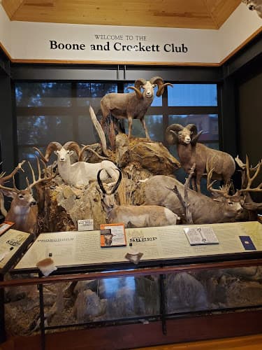 Boone and Crockett Club