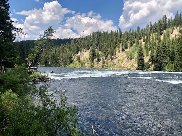 LeHardy Rapids