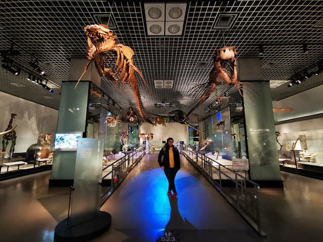 National Museum of Nature and Science