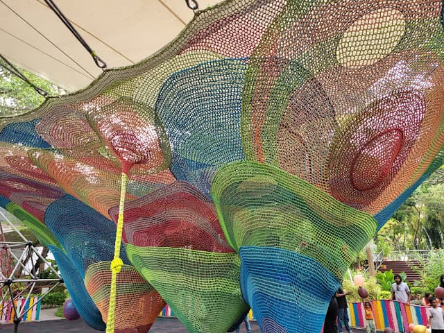 Spider Web Kids Park