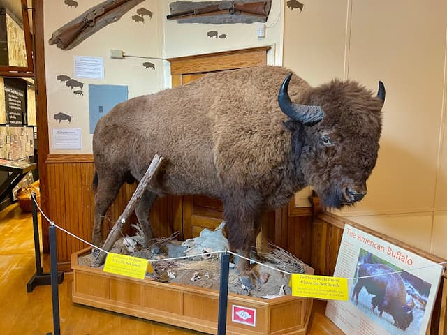 Yellowstone Gateway Museum