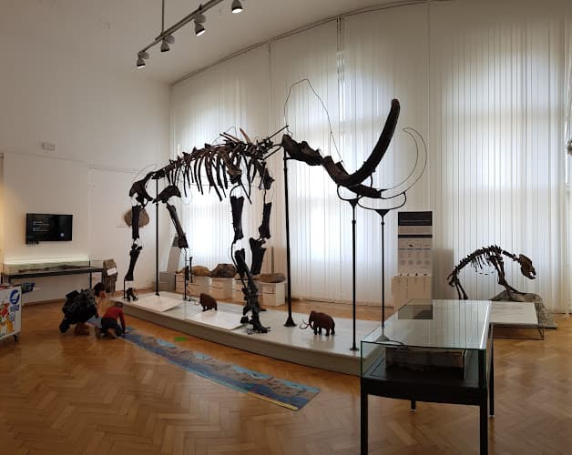Natural History Museum of Slovenia