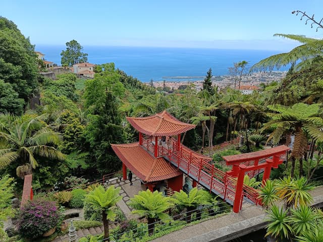 Jardim Monte Palace Madeira