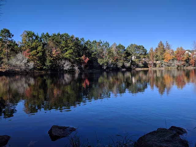 Chesapeake Arboretum