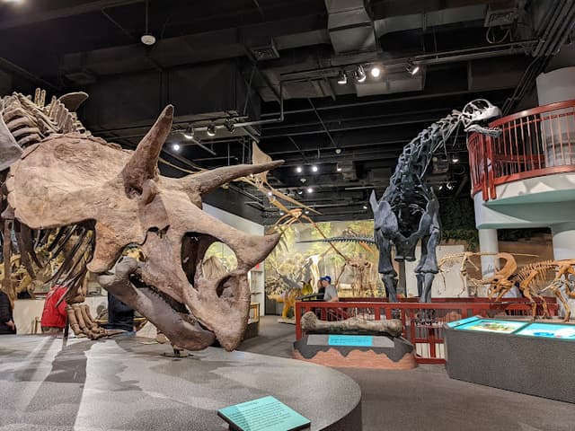 Arizona Museum of Natural History
