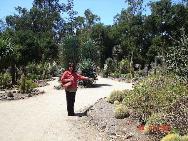 Arizona Garden
