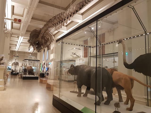 Australian Museum