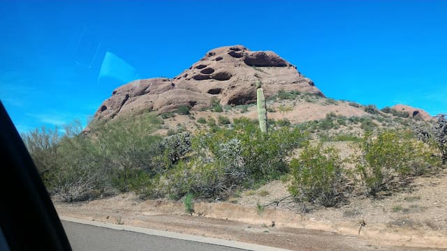 Desert Botanical Garden
