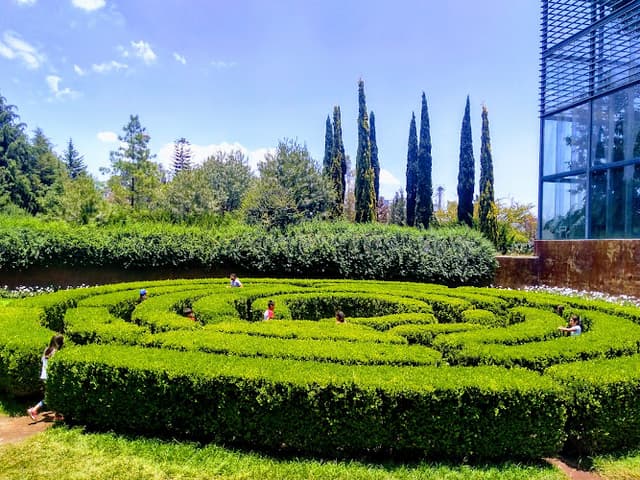 Parque Bicentenario