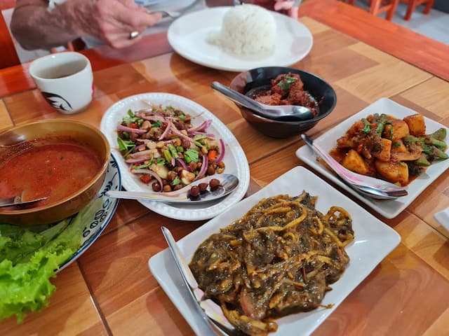 Cherry Burmese