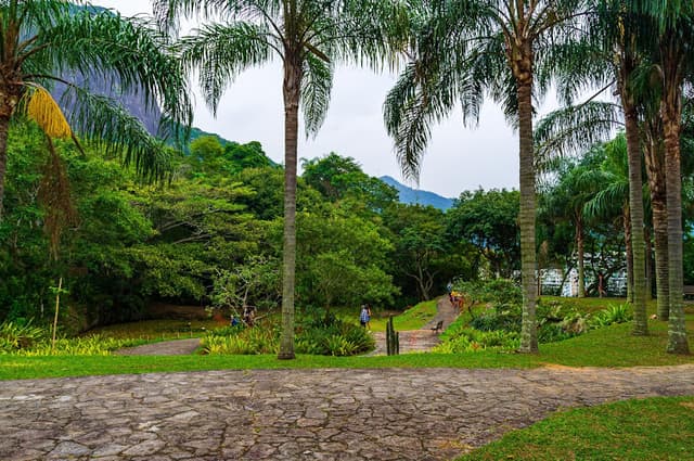 Parque Natural Municipal Dois Irmãos - Dois Cariocas - Sérgio Bernardes e Alfredo Sirkis