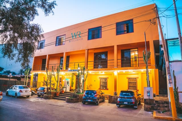 Wild Rover Huacachina