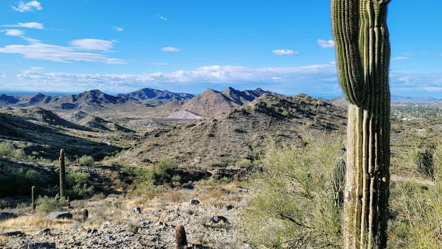 Phoenix Mountains Preserve
