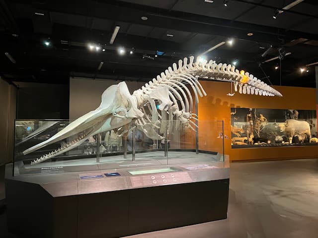 Lee Kong Chian Natural History Museum, Singapore