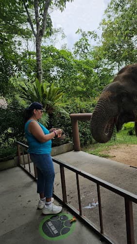 Phuket Elephant Sanktuary