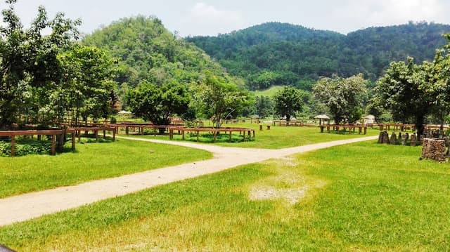 Elephant Nature Park
