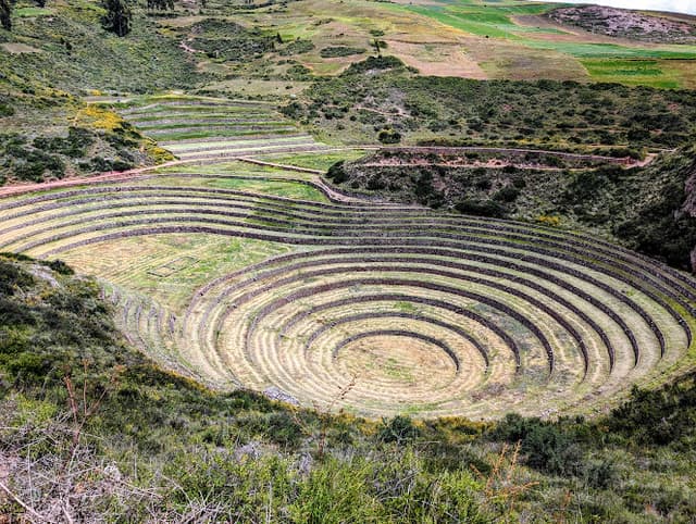 Moray