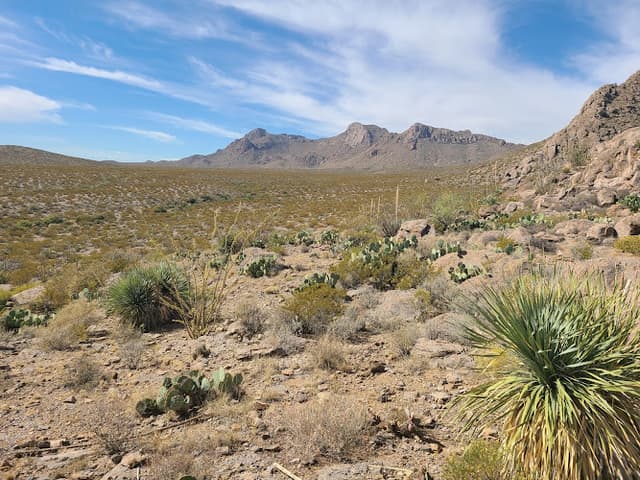 Chihuahuan Desert Nature Park