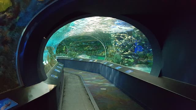 Ripley's Aquarium of Canada
