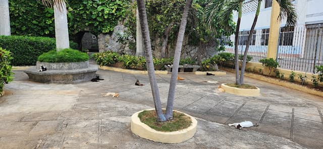 Fragua Martiana