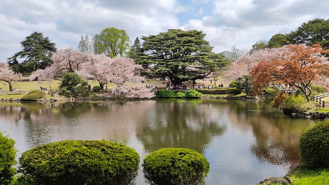 Shinjuku Gyoen National Garden