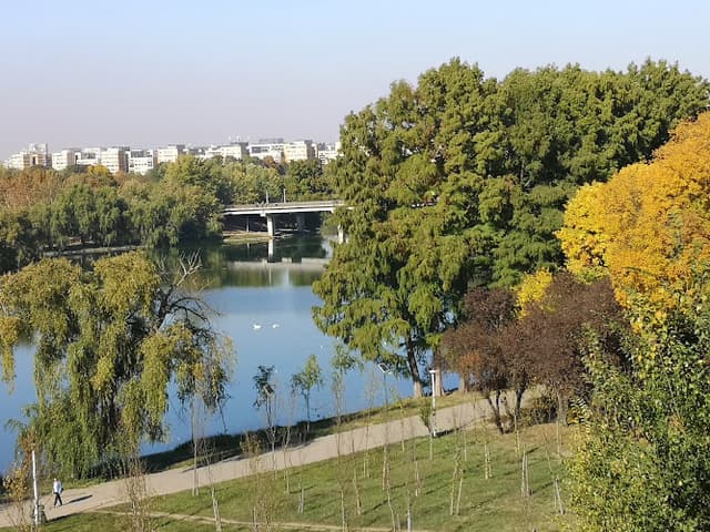 Youth Park