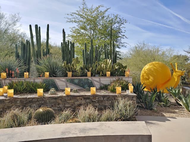 Desert Botanical Garden