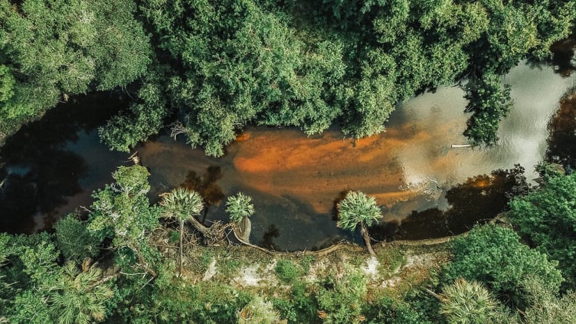 Scenic view of Brandon, Florida