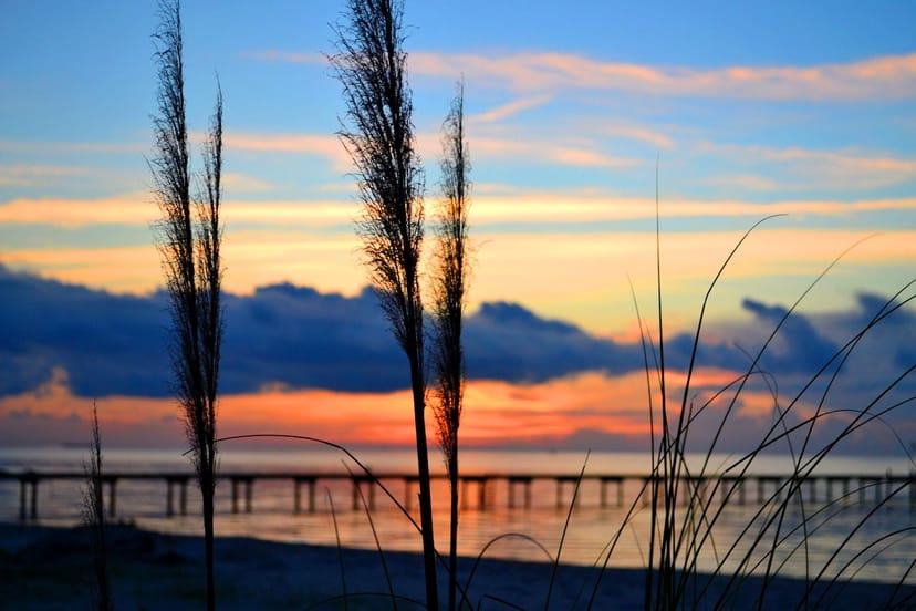 Scenic view of Chesapeake, Virginia