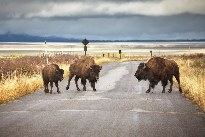 Scenic view of Cheyenne, Wyoming