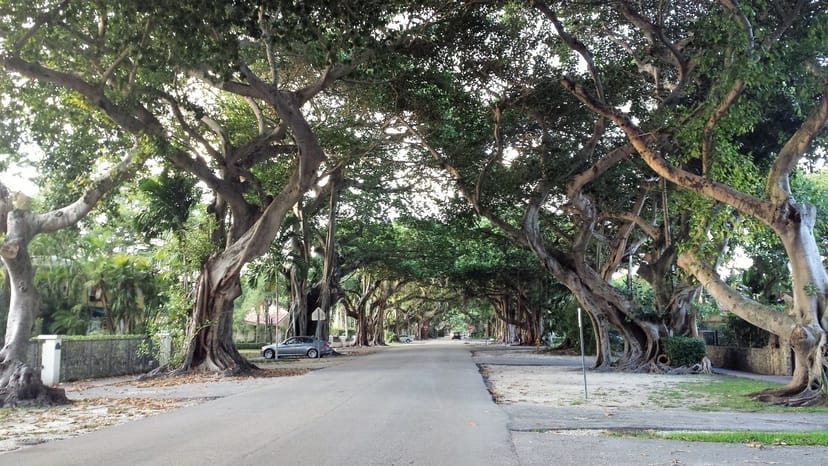 Scenic view of Coral Gables, Florida
