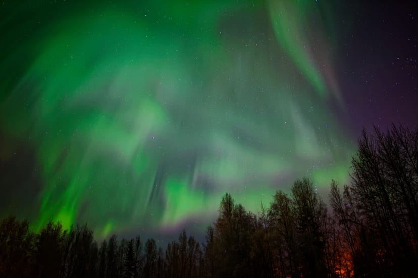 Scenic view of Fairbanks, Alaska