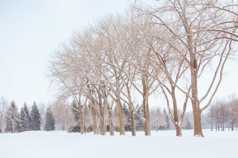 Scenic view of Fargo, North Dakota