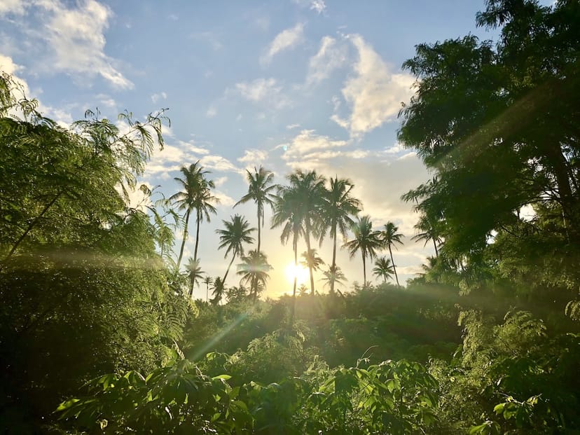 Scenic view of Fiji Islands, Fiji