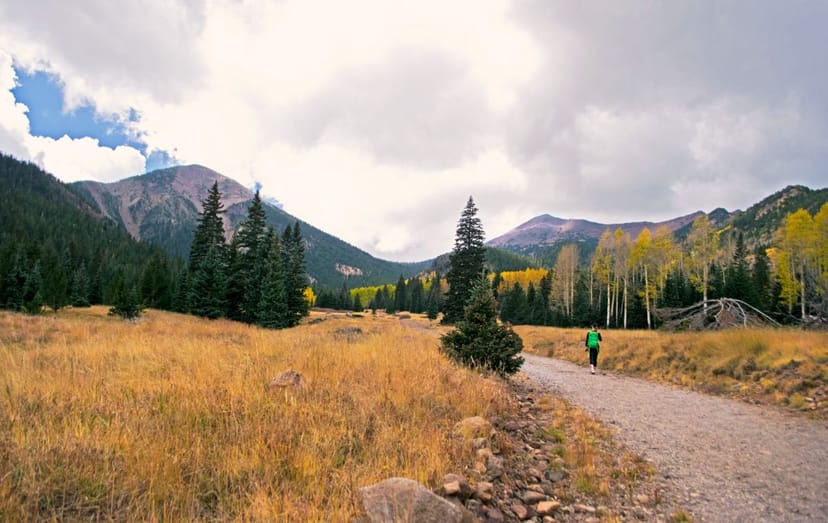 Scenic view of Flagstaff, Arizona