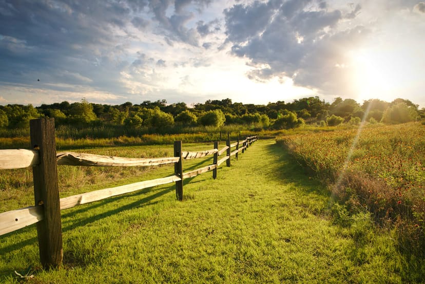 Scenic view of Frisco, Texas