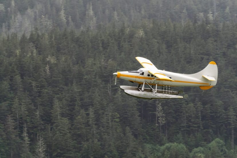 Scenic view of Juneau, Alaska
