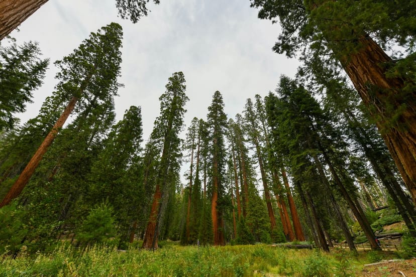 Scenic view of Mariposa, California