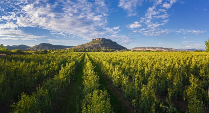 Scenic view of Medford, Oregon